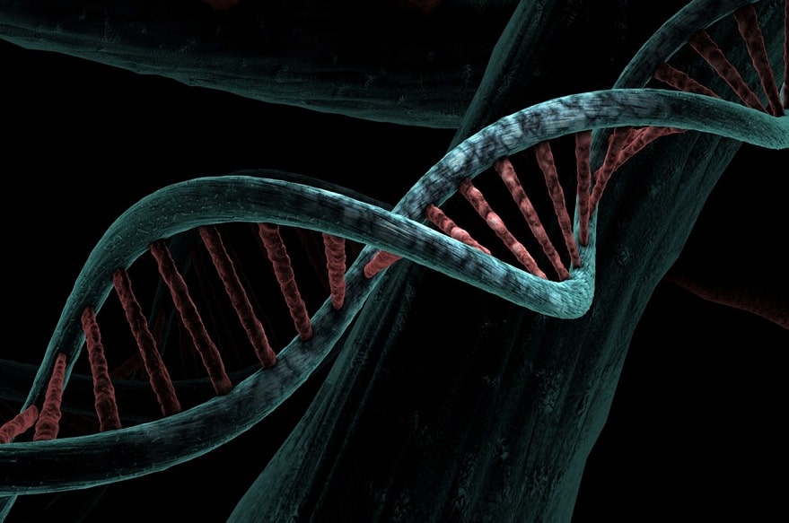editare genetica, CRISPR, boli cerebrale